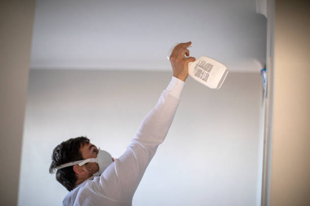 Best Certified Mold Removal  in Smith Center, KS