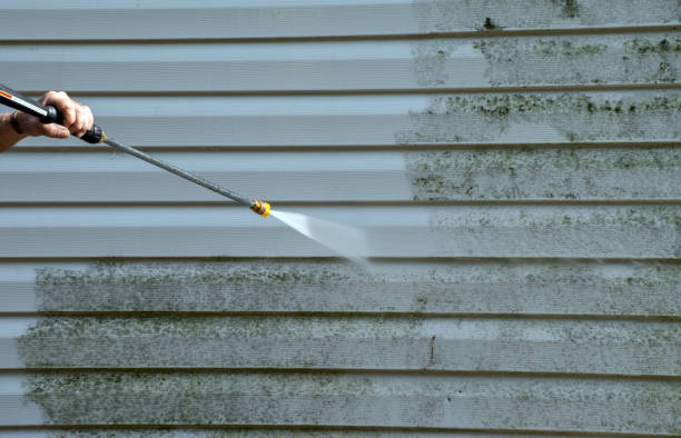 Best Residential Mold Removal  in Smith Center, KS